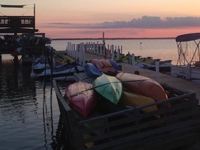 kayaks