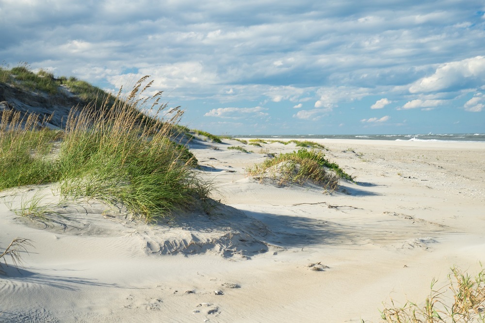 White Sand Dunes