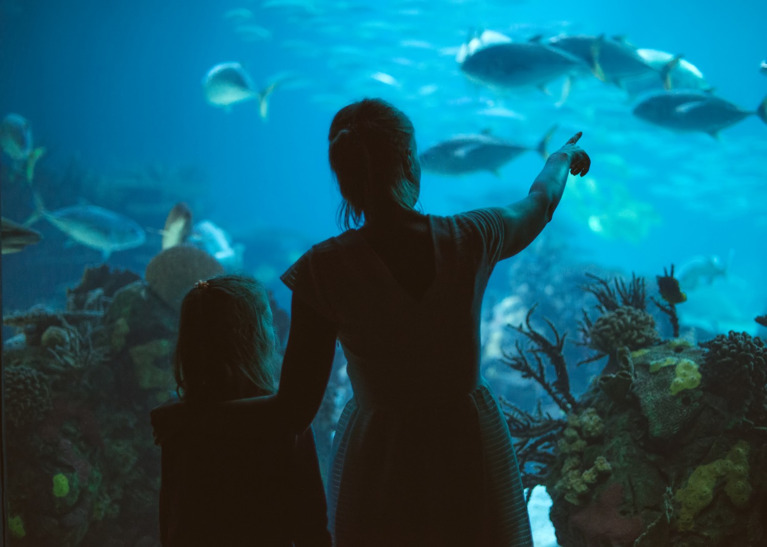 woman and daughter at outer banks aquarium