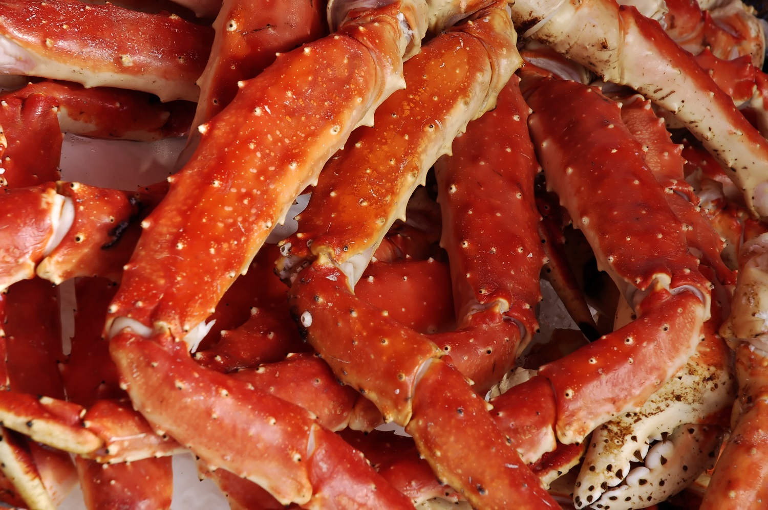 crab legs outer banks event