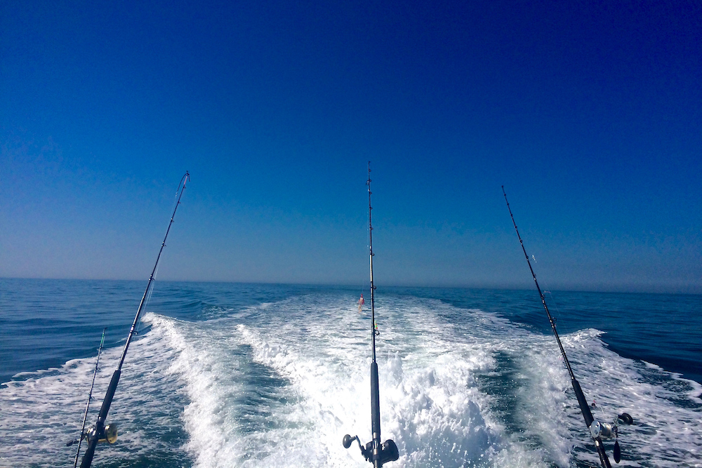 Ocean Fishing Summer Day on the Open Ocean