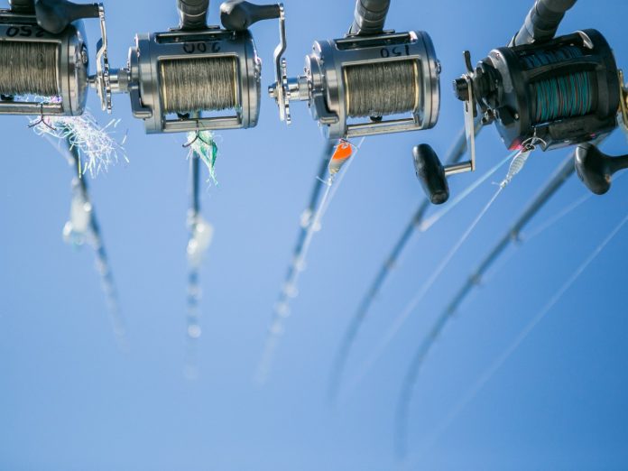 saltwater fishing rods lined up for deep sea fishing in the gulf stream