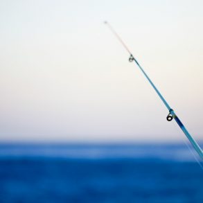 The hopeful anticipation in natural light. And this is a very popular activity for peoples.