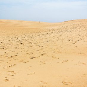 Jockey's Ridge State Park