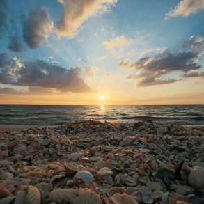 Shelling in the Outer Banks