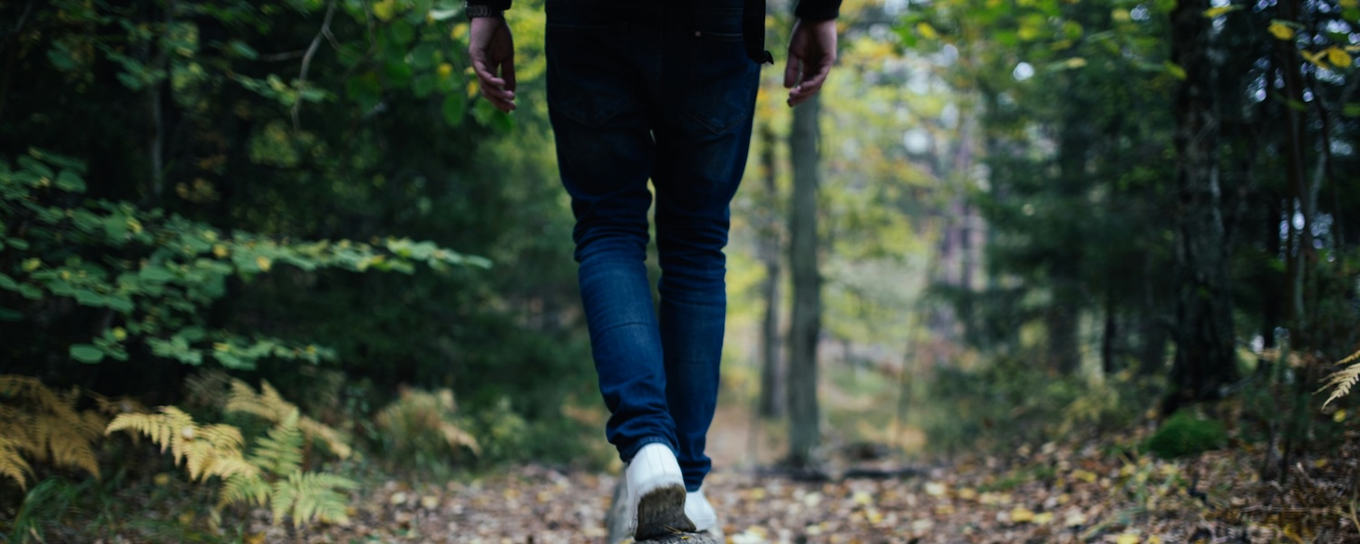Person on a walk in the woods