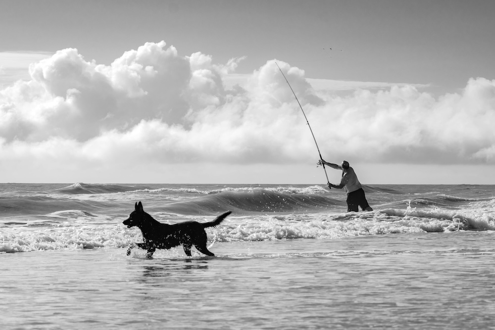 Man surf fishing with his dog