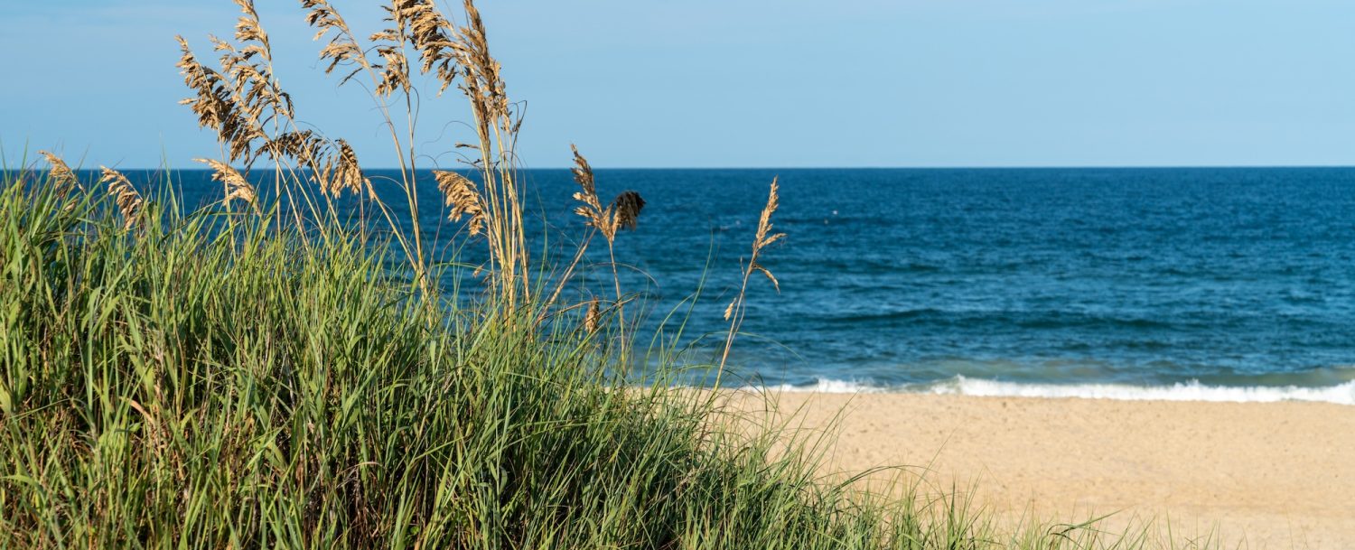 Things to Do on the Outer Banks in May