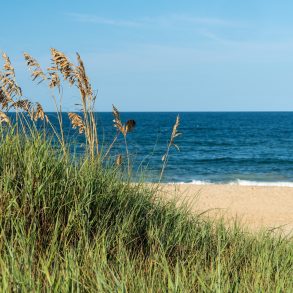 Things to Do on the Outer Banks in May