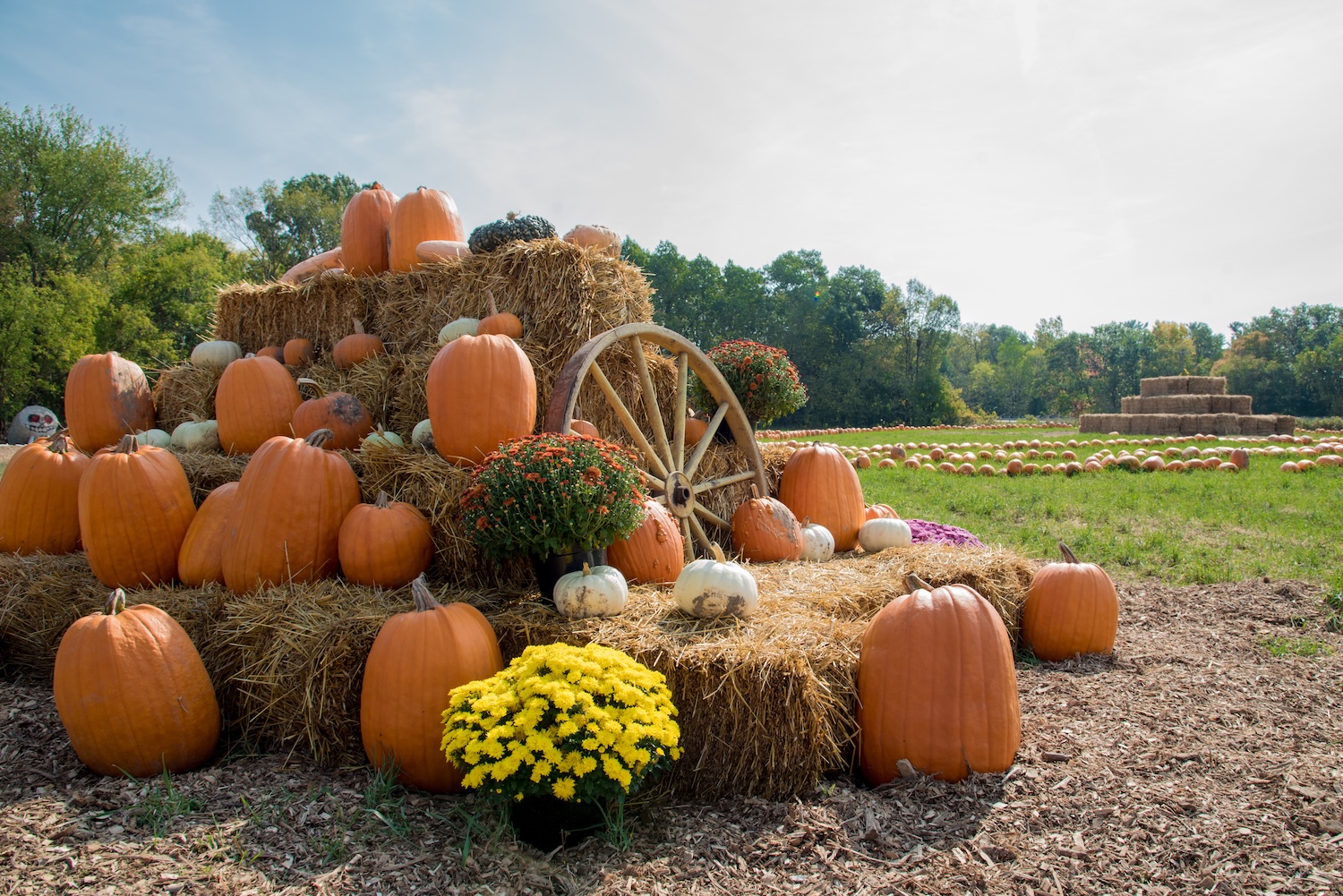 Fall harvest display with pumpkins and hay on the farm.